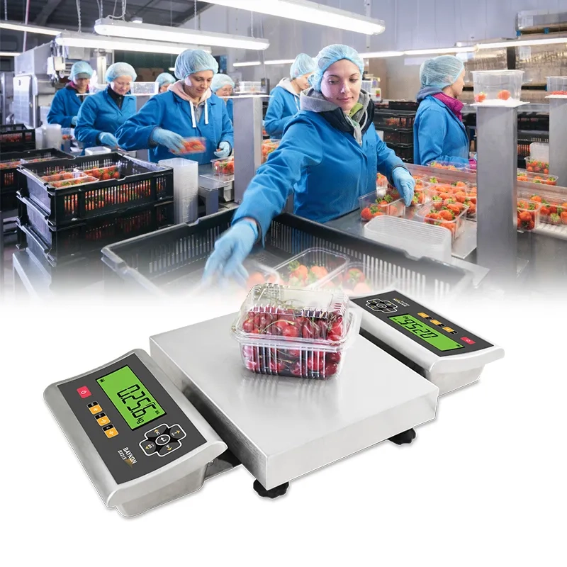 BCS304 Serisi Endüstriyel Teraziler